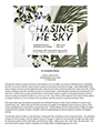 Chasing the Sky exhibit Press Release, artwork Tall Grass Prairie